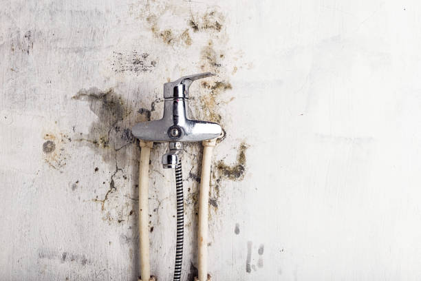 Best Residential Mold Remediation in Churchville, NY