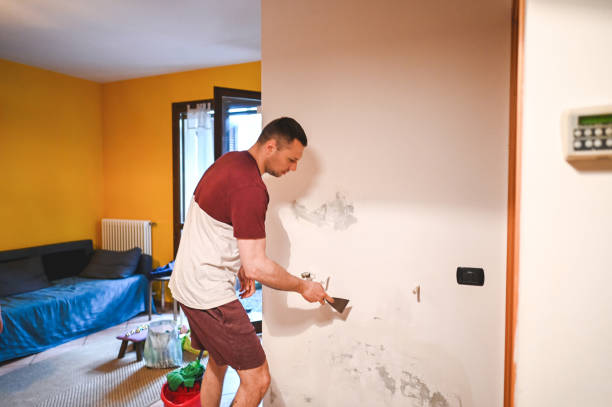 Best Residential Mold Remediation in Churchville, NY